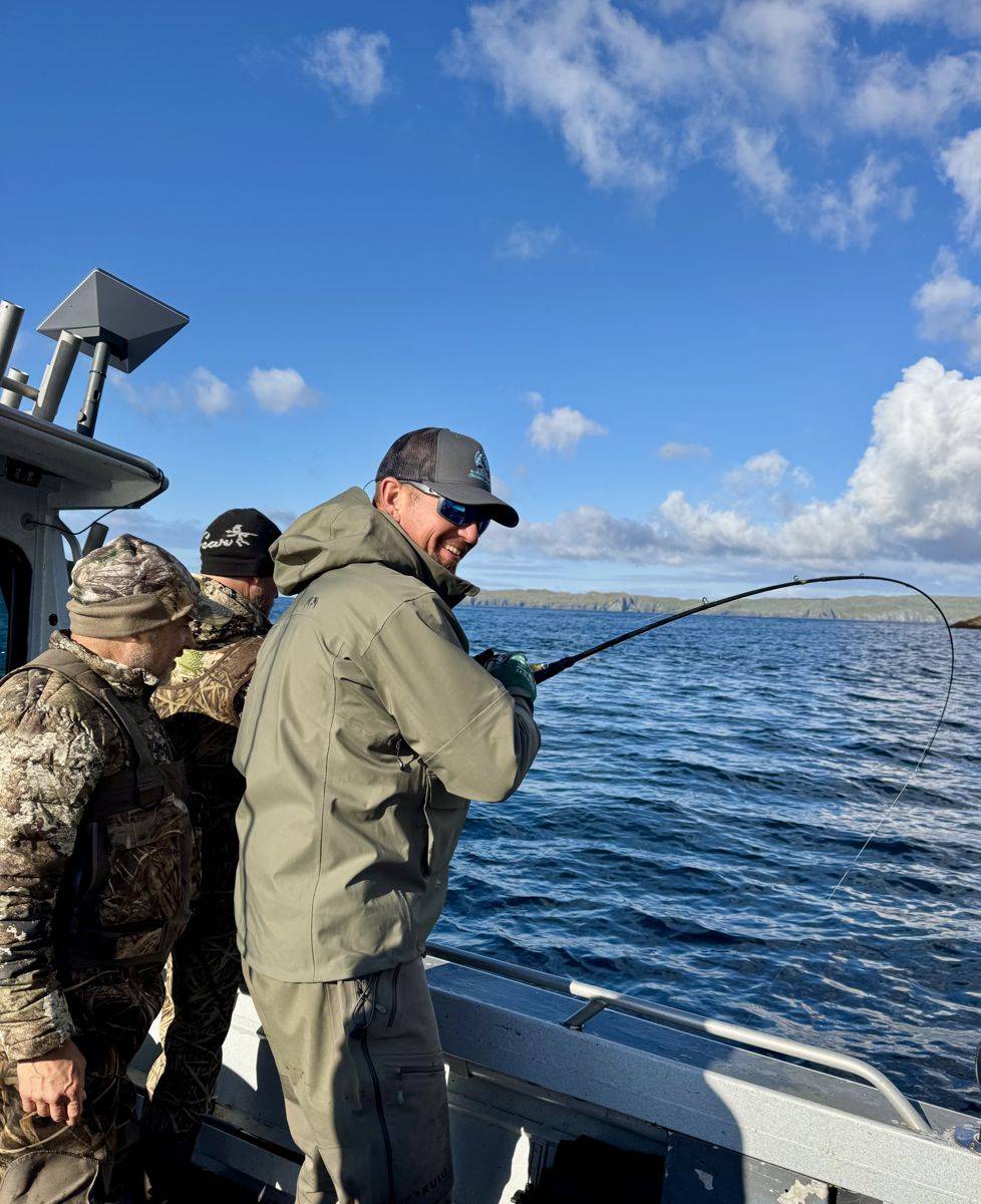 Fish on the line