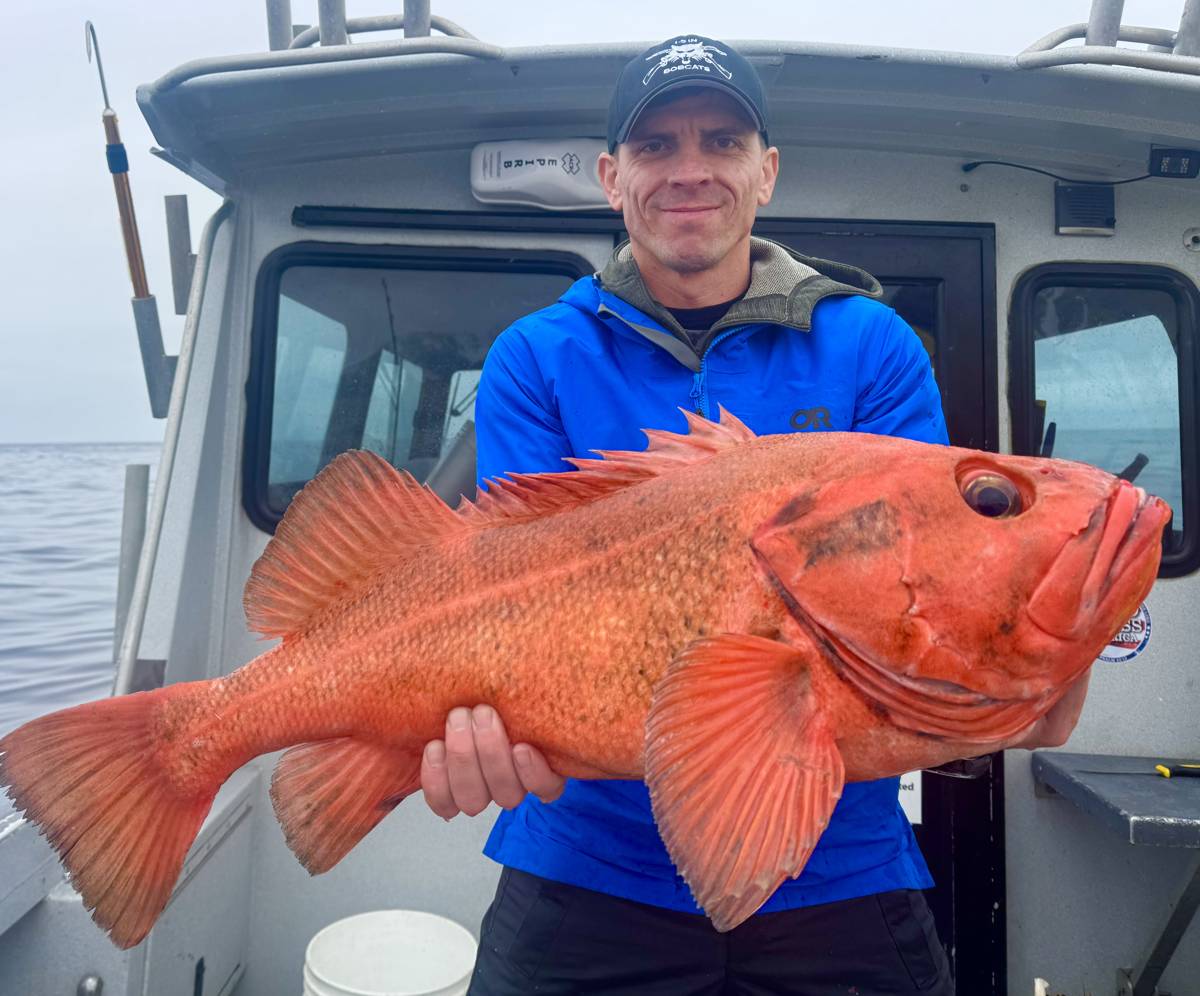 Big eye Rockfish